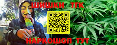 крисы Кандалакша